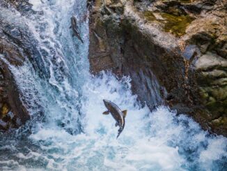 Bitcoin (BTC) Prices Soar as ETF Approval Reaches Finish Line