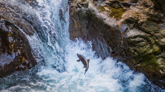 Bitcoin (BTC) Prices Soar as ETF Approval Reaches Finish Line