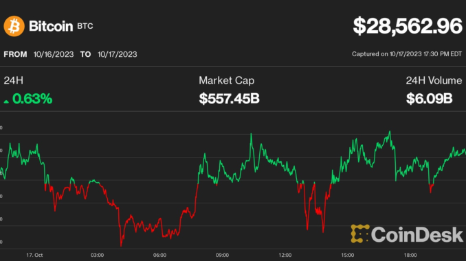 Bitcoin Beats Rest of Crypto Market as Ether, DeFi Tokens Struggle