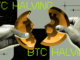 Big Bitcoin Corrections Came Before Halving in Past Cycles, Will History Rhyme?