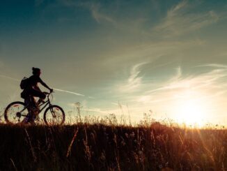 Bitcoin Holds Steady at $27.6K; Why Are XRP, AVAX Prices Pumping?