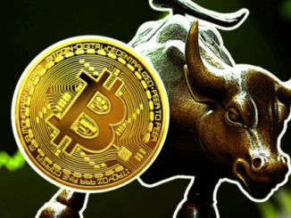 Bitcoin price bull