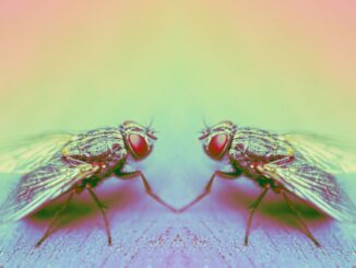 Blackbird, Crypto Restaurant App, Raises $24M in Funding Led by A16z