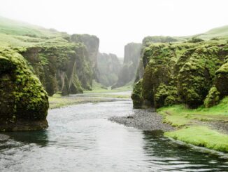 Catching Up on a Lot of Stuff