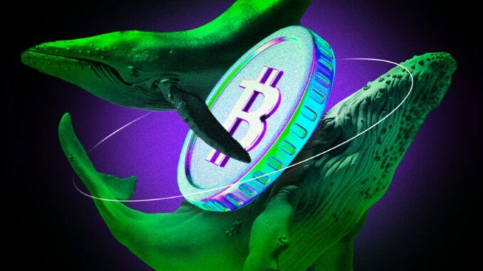 Crypto-Whales-Alert-16-New-Bitcoin-BTC-Addresses-in-a.jpg Crypto Whales Alert: 16 New Bitcoin (BTC) Addresses in a Single Day