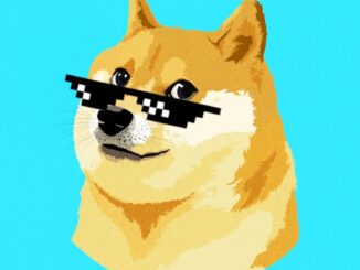 DOGE, SHIB Spiked as Elon Musk's X Adds Calling Feature, But is it Bad News for Bitcoin?