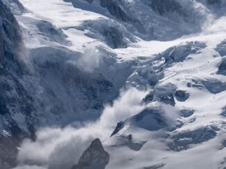 Hemp and Cannabis Certifications Minted on Avalanche (AVAX)