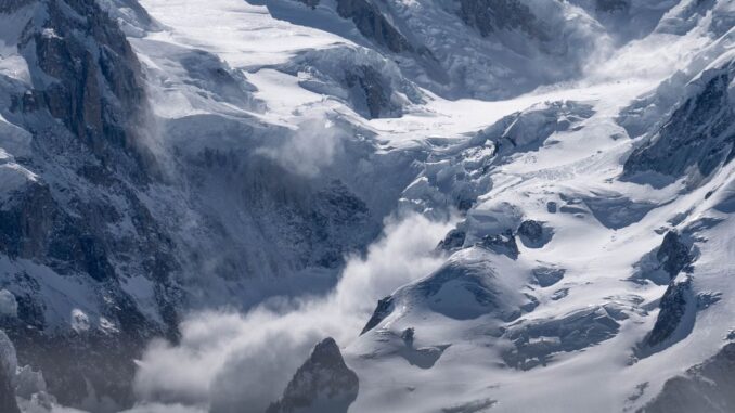 Hemp and Cannabis Certifications Minted on Avalanche (AVAX)