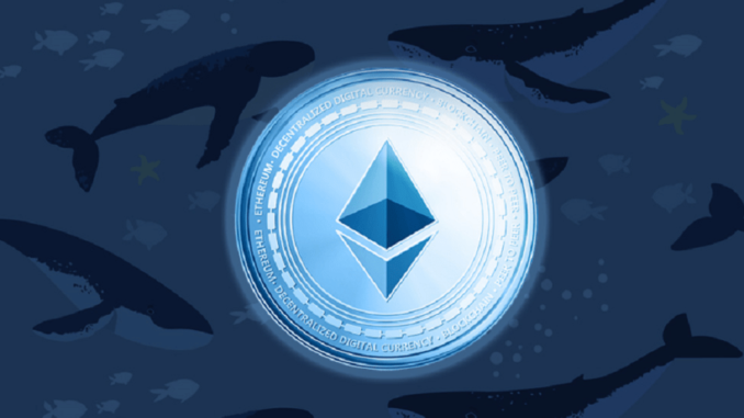 Ethereum whale