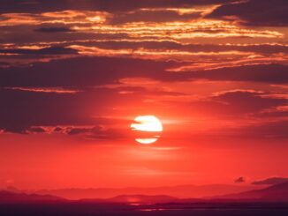 SuperDao Closes Down, Returns Money to Investors