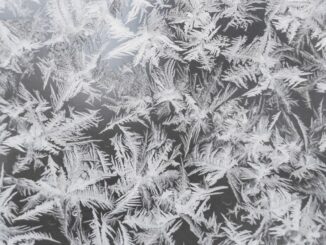 Tether Freezes 32 Addresses Linked to Terrorism and Warfare in Israel and Ukraine