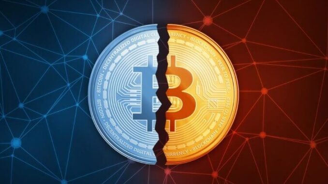 What-To-Expect-If-Historical-Bitcoin-Halving-Cycles-Repeat.jpeg Bitcoin halving