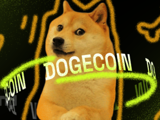 Will Dogecoin (DOGE) Whales Push for More Price Gains?