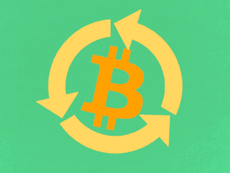 Some of the top BRC-20 tokens. (OrdSpace)