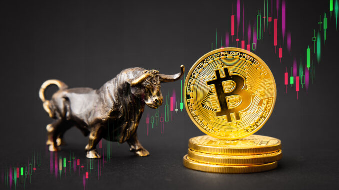 bitcoin bull run