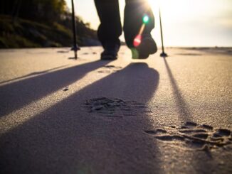 Celestia (TIA) pauses upside after stellar week, what next?