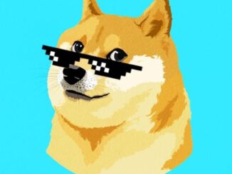 DOGE futures OI has reached April levels. (Coinglass)