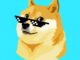 DOGE futures OI has reached April levels. (Coinglass)