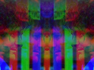 SBF Trial Feature image