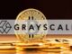 Grayscale Spot Bitcoin ETF Small