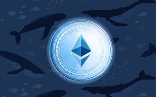 Ethereum whale Small