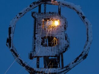 SBF Trial Feature image