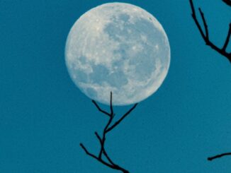 (Beth Macdonald/Unsplash)