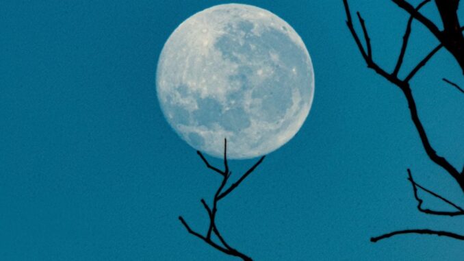 (Beth Macdonald/Unsplash)