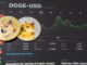 Ripple (XRP) and Dogecoin (DOGE) eyeing upswings: analyst