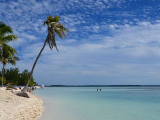 SBF Trial Feature image