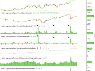 Bitcoin whales