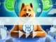 Will Dogecoin Keep Rising the Global Market Cap Rankings and New Meme Tokens Follow