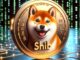 D3 and Shiba Inu, Viction partner for Top Level Domains