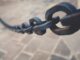 IOTA’s ShimmerEVM integrates LayerZero for cross-chain communication