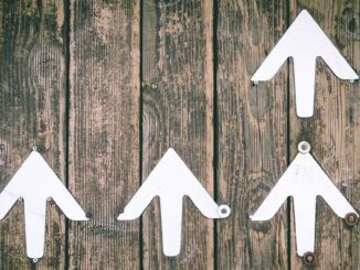 Author placeholder image