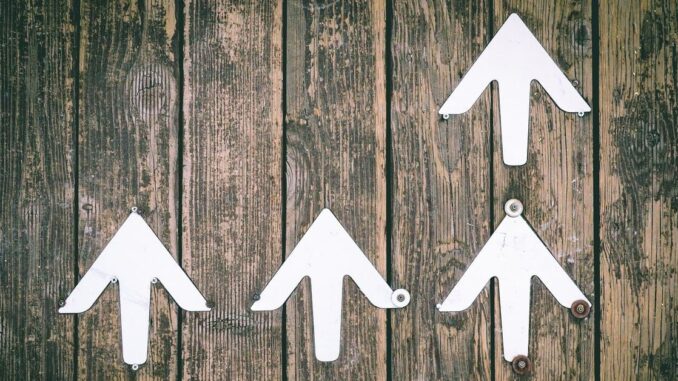 Author placeholder image