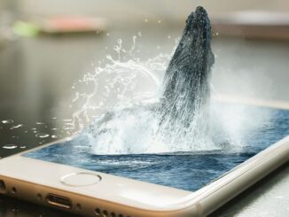 The balance held in addresses with over 1,000 BTC. (IntoTheBlock)