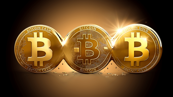 Forbes-Says-Spot-Bitcoin-ETF-Approval-Will-Send-BTC-Price.png Bitcoin