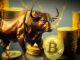 Bitcoin bull