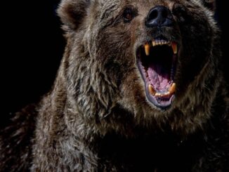 Tyler Spalding, CEO / Co-Founder, Flexa, 2Chainz and Zack Seward, Deputy Editor-in-Chief, CoinDesk