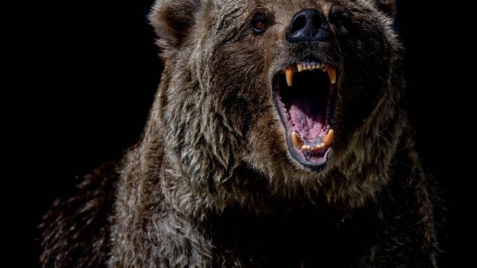 Tyler Spalding, CEO / Co-Founder, Flexa, 2Chainz and Zack Seward, Deputy Editor-in-Chief, CoinDesk