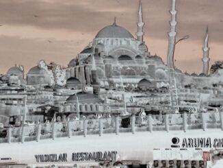 SingleQuoteLightGreen