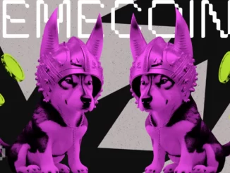 Whale Invests $8.65 Million in Solana’s Meme Coin WIF, Sparks Binance Listing Speculation