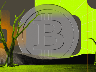 Crypto Businesses in South Africa Anticipate First Wave of FSP Licenses