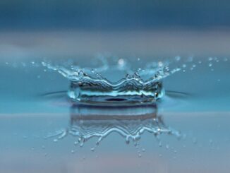 Author placeholder image