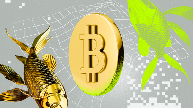 Computer-Scientist-Calls-Bitcoin-the-Greatest-Invention-Since-Coinage.png Why this Computer Scientist Thinks Bitcoin is the Greatest Invention Since Coinage