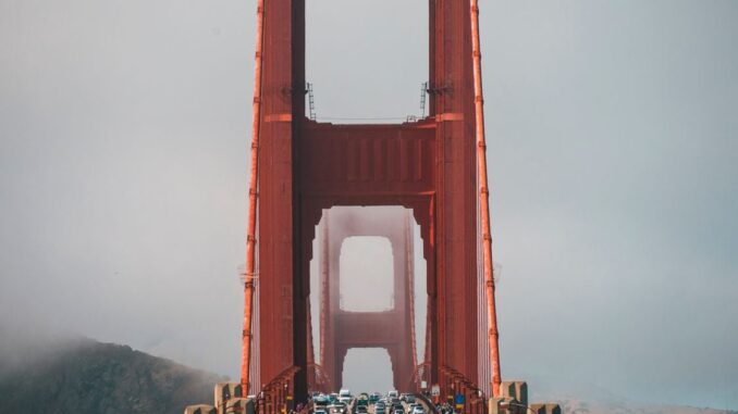 Silicon-Valley-Giant-Y-Combinator-Now-Looks-to-Invest-in.jpg Amitoj Singh