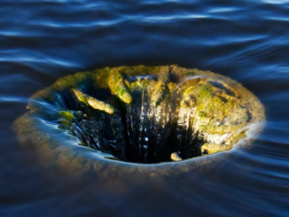 Author placeholder image