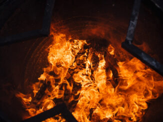 FLOKI successfully executes 190 billion token burn