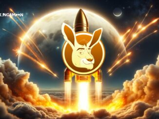 Wormhole unveils airdrop plans as investors flock to KangaMoon (KANG)
